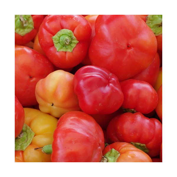 Organic Non-GMO Alma Paprika Mild Hot Peppers